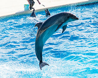 image：Marine World Uminonakamichi