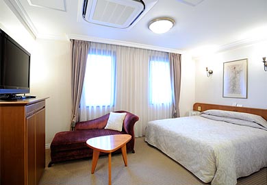 Deluxe double room