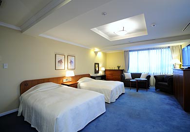 Deluxe twin room