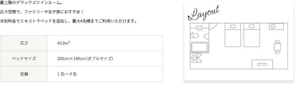 デラックスツイン詳細