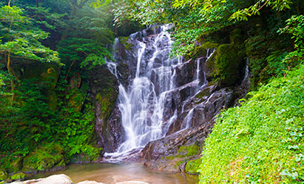 画像：白糸の滝